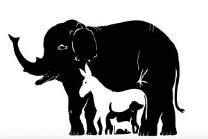animali