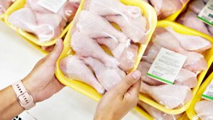 carne di pollo e allevamenti intensivi