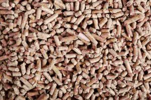 pellet