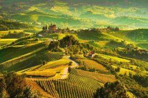 Campagna in Piemonte