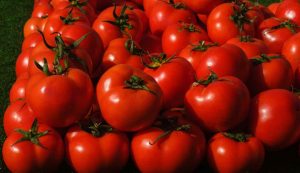 passate di Pomodori