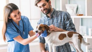 detrazione spese animali domestici